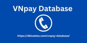 VNpay Database